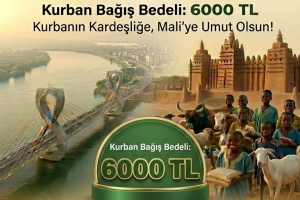 2026 KURBAN ORGANİZASYONU