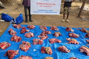 2025 AFRİKA ZİYARETİ