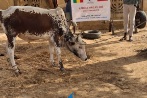 13 ŞUBAT 2025 KURBAN KESİMİ YAPILDI!