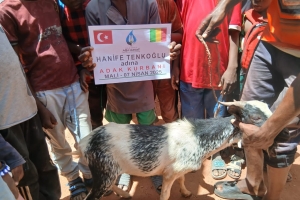 7 NİSAN 2025 "ADAK KURBAN" KESİMLERİ