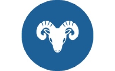 Kurban Bağışı