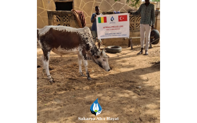 13 ŞUBAT 2025 KURBAN KESİMİ YAPILDI!