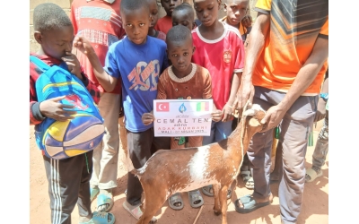 7 NİSAN 2025 "ADAK KURBAN" KESİMLERİ